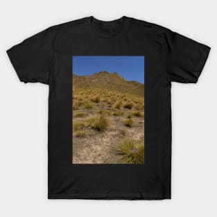 Barren Lindis Pass T-Shirt